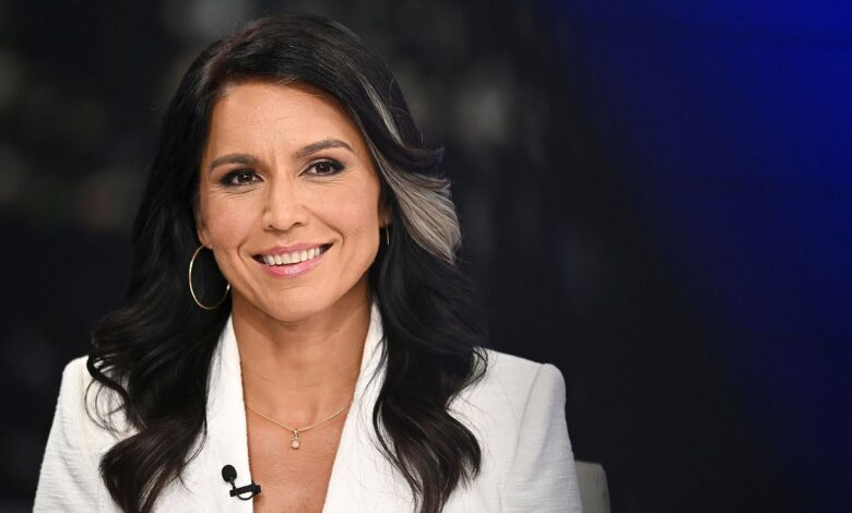 Tulsi Gabbard Net Worth Tulsi Gabbard Net Worth