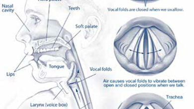 Taking Care of Your Voice Taking Care of Your Voice